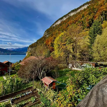 Romantic Alpine With Superview Of Near Interlaken Lejlighed *