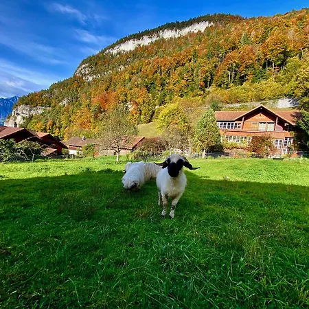 Romantic Alpine With Superview Of Near Interlaken *