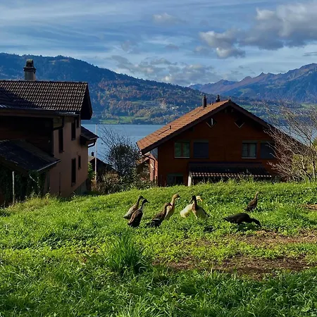 アパート Romantic Alpine With Superview Of Near Interlaken