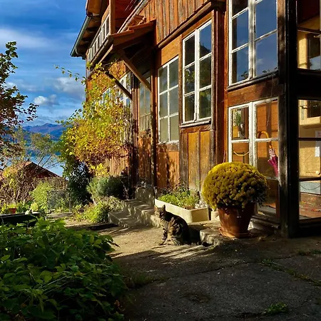 Romantic Alpine With Superview Of Near Interlaken アパート *