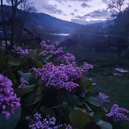 Romantic Alpine With Superview Of Near Interlaken * Sundlauenen