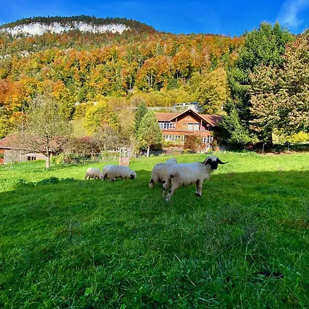 Romantic Alpine With Superview Of Near Interlaken