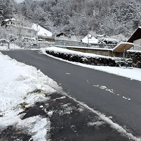 Romantic Alpine With Superview Of Near Interlaken アパート *