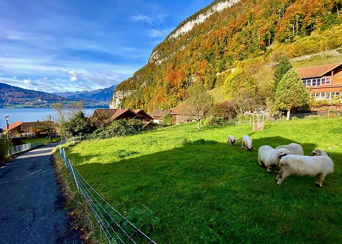 Romantic Alpine With Superview Of Near Interlaken