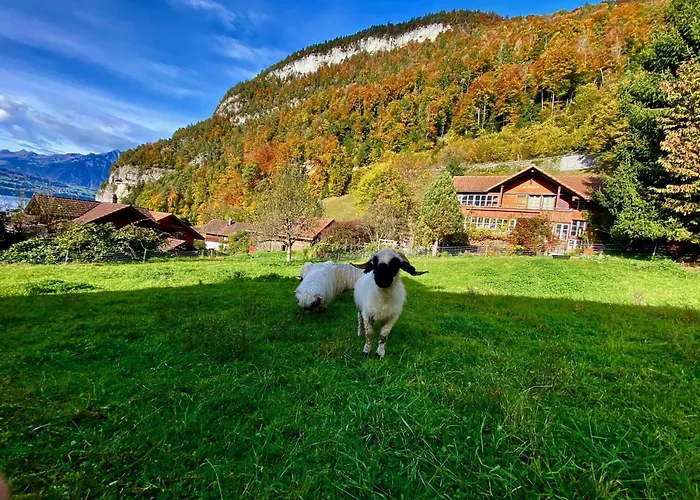 Romantic Alpine With Superview Of Near Interlaken *