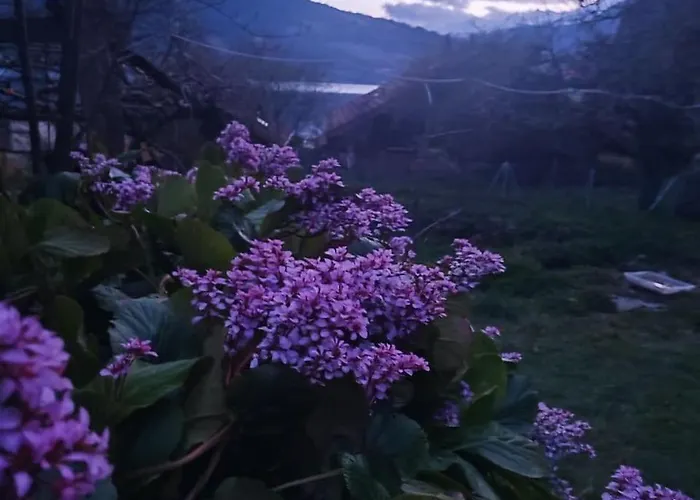 Romantic Alpine With Superview Of Near Interlaken * Sundlauenen