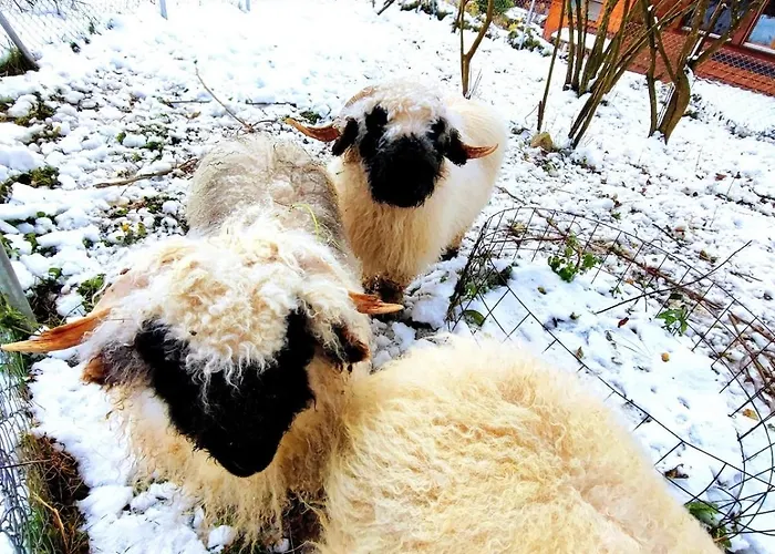 Romantic Alpine With Superview Of Near Interlaken