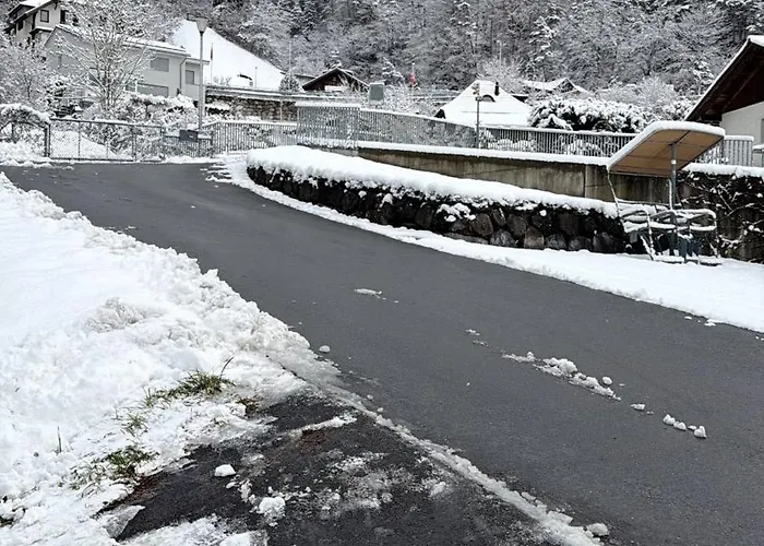 Romantic Alpine With Superview Of Near Interlaken דירה *