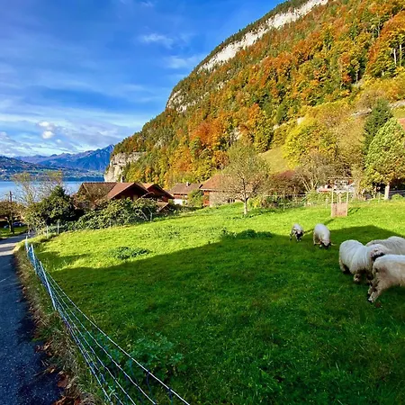 Romantic Alpine With Superview Of Near Interlaken