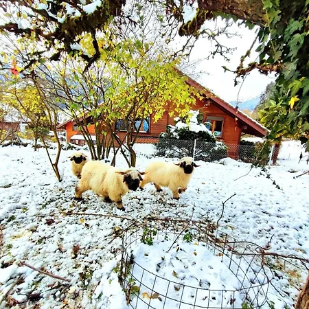 Appartamento Romantic Alpine With Superview Of Near Interlaken Sundlauenen