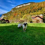 Romantic Alpine With Superview Of Near Interlaken *